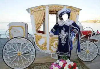 Санаттан фотоэффект Ерлер үшін № 139867 Санаттан фотоэффект Ерлер үшін № 139867