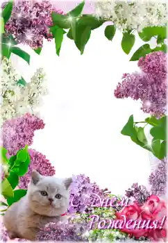 Санаттан фотоэффект Туған күнге арналған открыткалар № 205692. Жақтаудағы жазу: Туған күніңізбен! Санаттан фотоэффект Туған күнге арналған открыткалар № 205692. Жақтаудағы жазу: Туған күніңізбен!