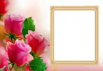 Санаттан фотоэффект Әйелдер фоторамалары № 206188